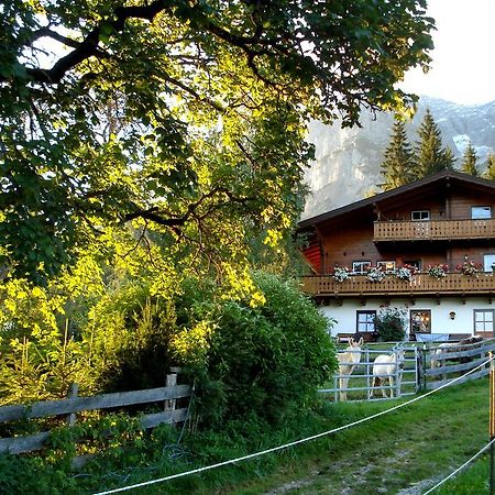 Haus Berghild Ramsau am Dachstein Exterior foto