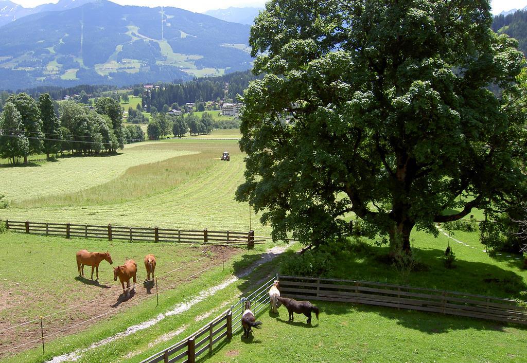 Haus Berghild Ramsau am Dachstein Exterior foto